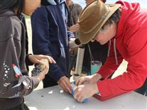 Click for large image