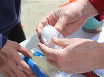 Click for large image